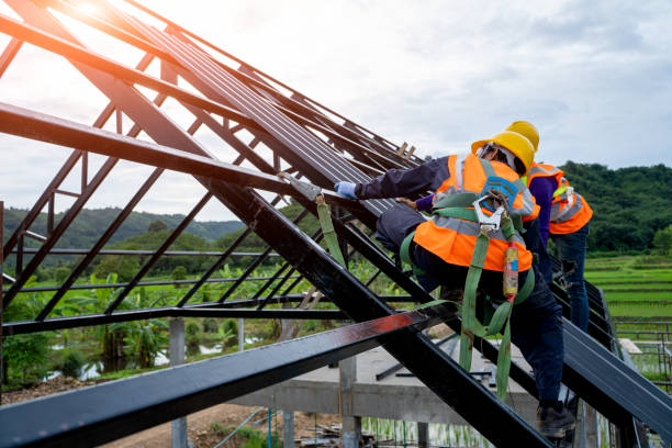 Best Roof Gutter Cleaning  in Belle Haven, VA