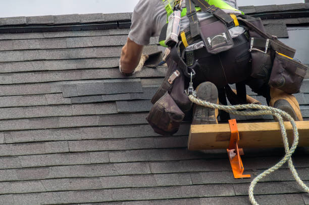Best Roof Waterproofing Services  in Belle Haven, VA