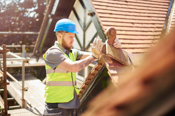 Best Metal Roofing Contractor  in Belle Haven, VA