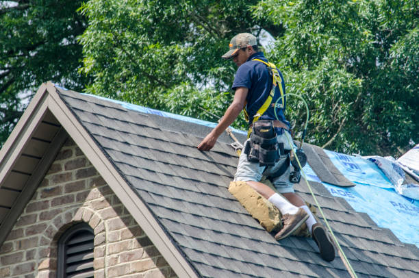 Best Roof Repair Estimates  in Belle Haven, VA